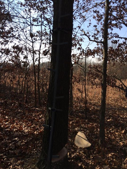 tree stand sabotage