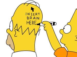 Homer - insert brain