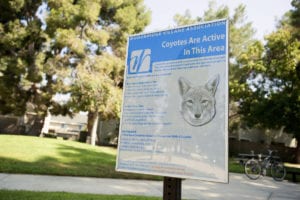 A sign with a picture of a wolf, promoting Hillary.