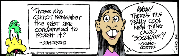 political cartoon