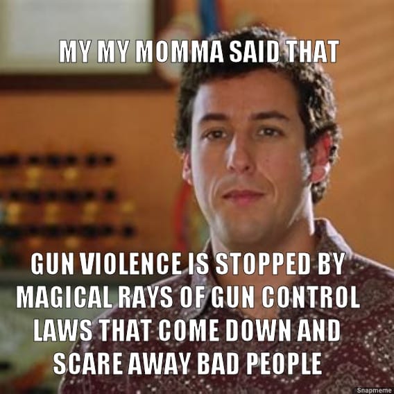Gun control laws