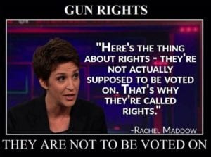 rights are not supposed to be voted on