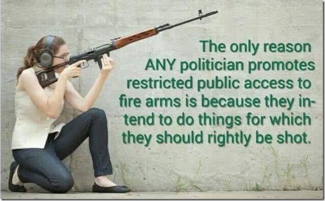 gun banners