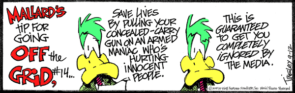 Mallard cartoon