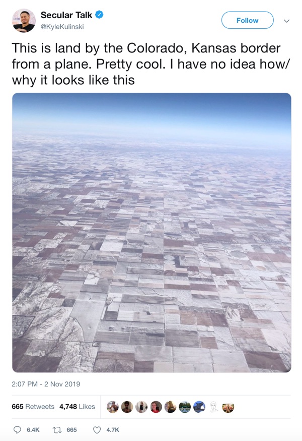 dumb tweet