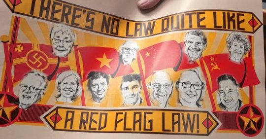 Red flag law