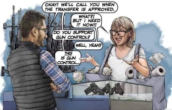 gun control