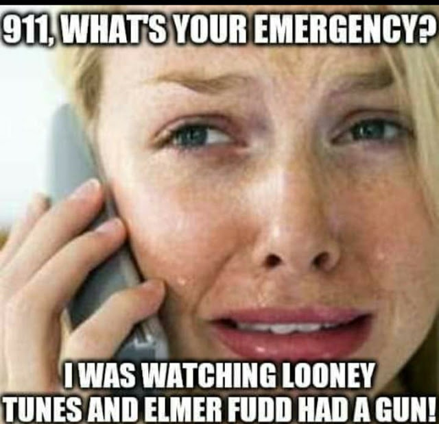 Elmer Fudd had a gun