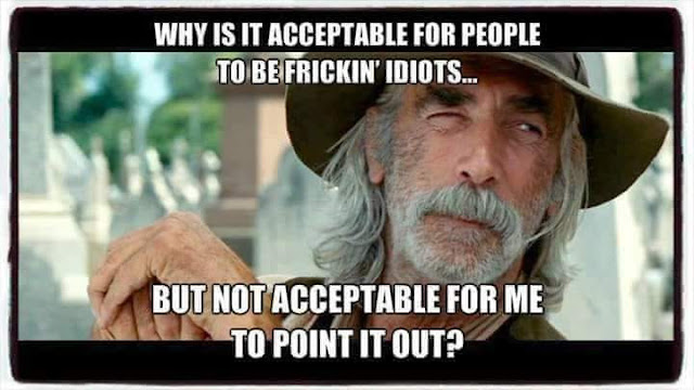 Why can't I point out idiots?