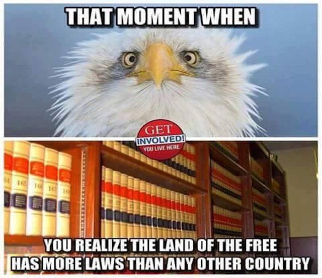 political meme