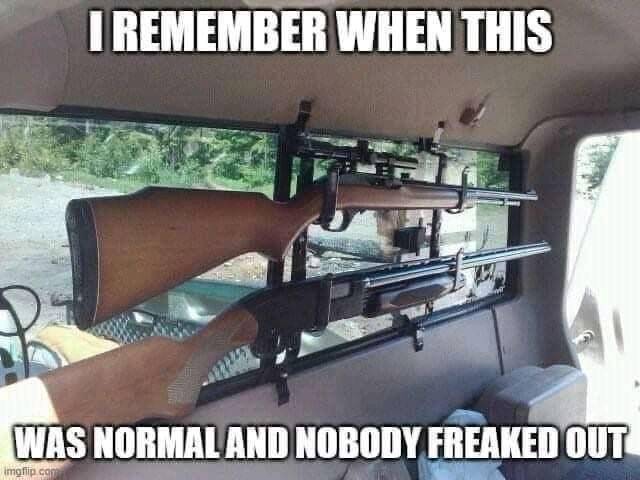 Guns in plain view truck window