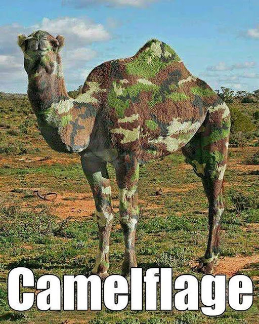 Camelflage