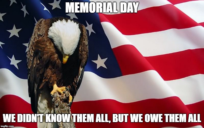 An American flag background with a bald eagle perched on a branch in the foreground. The text reads "MEMORIAL DAY" at the top and "WE DIDN'T KNOW THEM ALL, BUT WE OWE THEM ALL" at the bottom.