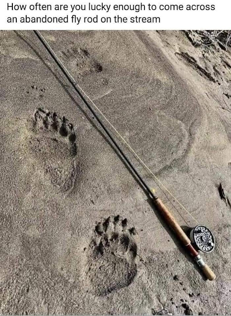A fly rod lies on sandy ground near two bear paw prints. Text at the top reads, "How often are you lucky enough to come across an abandoned fly rod on the stream?.