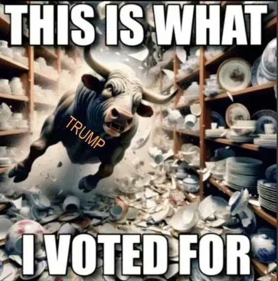A bull labeled "Trump" runs through a china shop, breaking dishes, with text above and below reading, "This is what I voted for.