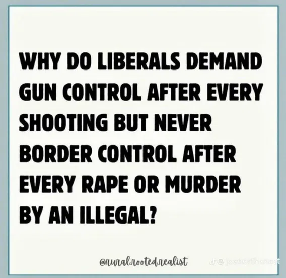 Text-based image questioning liberals on their stance on gun control versus border control concerning crimes committed by undocumented individuals.