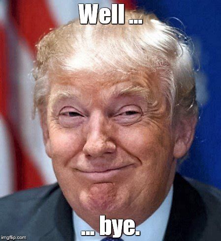 President Trump with a smirk and the text "Well... ...bye." displayed at the top and bottom.