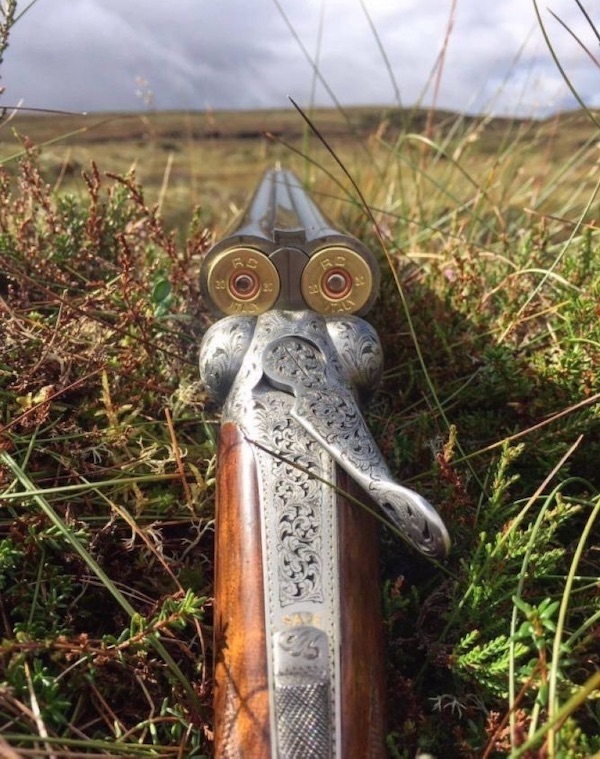 Close-up of a double-barreled shotgun with ornate engravings, lying in grassland. The focus is on the barrels and decorative details, with open land in the background under a cloudy sky.