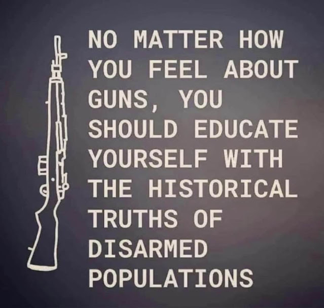 A rifle is shown next to text that reads: "No matter how you feel about guns, you should educate yourself with the historical truths of disarmed populations.