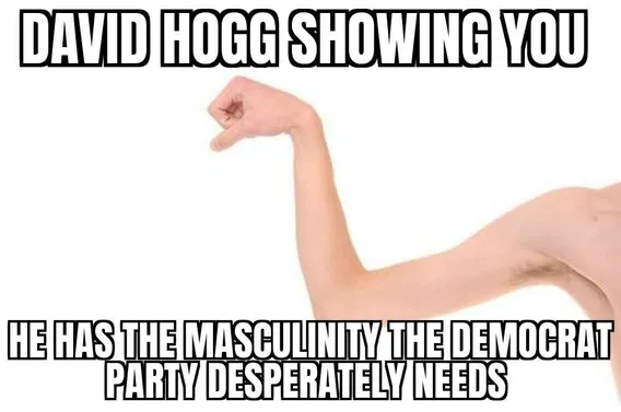 A person flexes their arm with minimal muscle definition. Text above and below reads: "David Hogg showing you he has the masculinity the Democrat party desperately needs.
