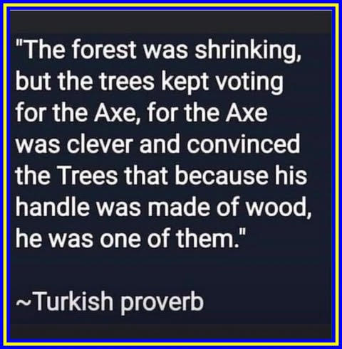 Text graphic with a Turkish proverb: "The forest was shrinking, but the trees kept voting for the Axe...because his handle was made of wood, he was one of them.