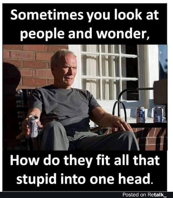 A man sits outside on a patio holding a can, with a caption above and below him reading, "Sometimes you look at people and wonder, How do they fit all that stupid into one head.