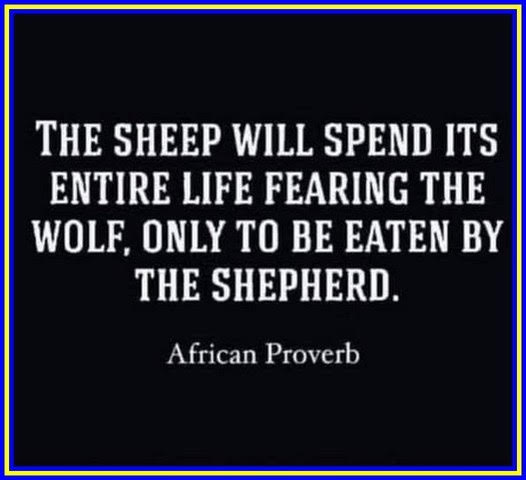 Text reads: "The sheep will spend its entire life fearing the wolf, only to be eaten by the shepherd. African Proverb." White text on a black background with a blue border.