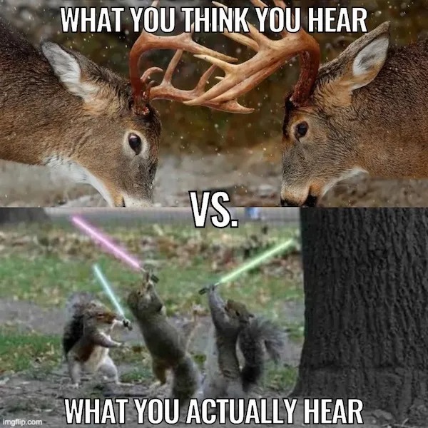 Top image: Two deer butting antlers. Bottom image: Three squirrels with added lightsabers appear to be fighting. Text reads: "What you think you hear vs. What you actually hear.