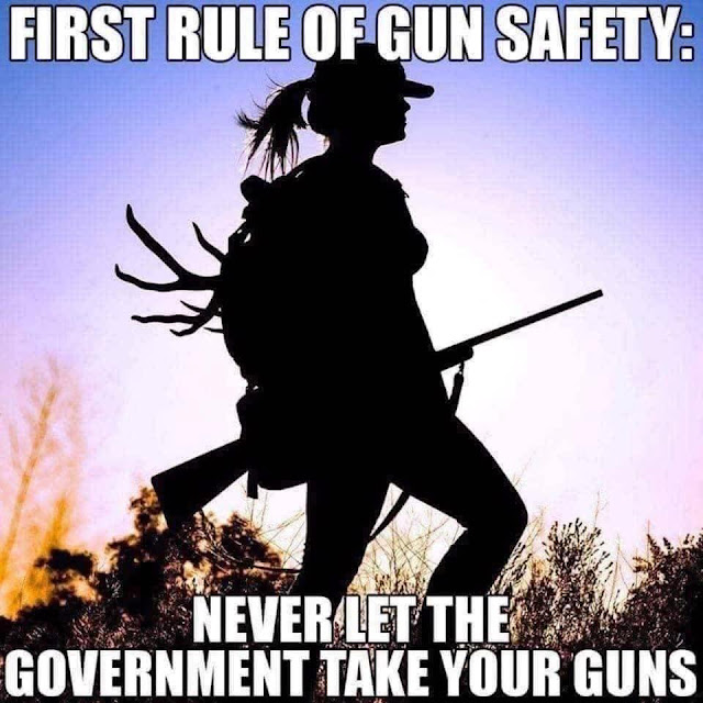 Silhouette of a person in a hat carrying rifles with text stating, "First rule of gun safety: never let the government take your guns.