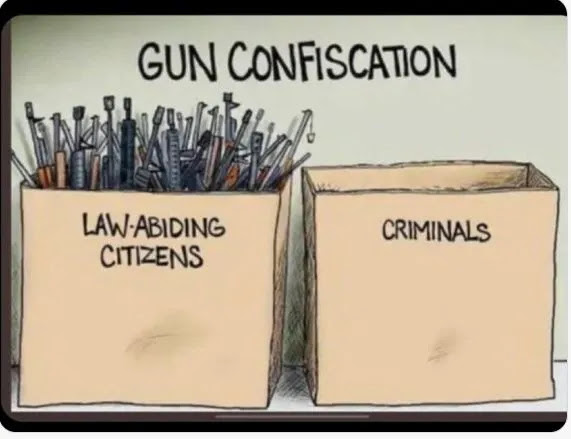 Cartoon showing two boxes labeled "Law-Abiding Citizens" full of guns and "Criminals" empty, under the heading "Gun Confiscation.