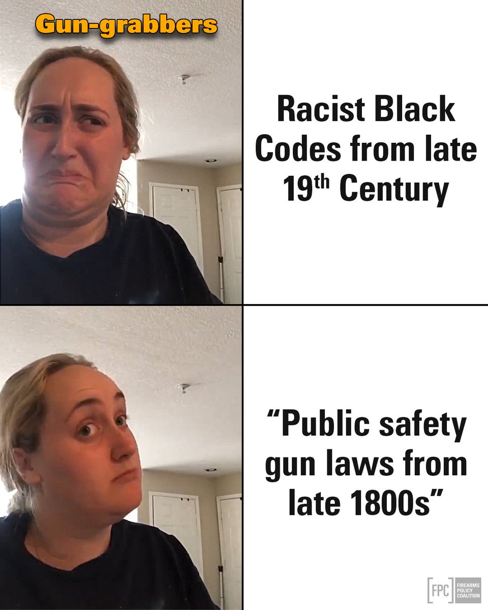 Two-panel meme: Top—person grimaces at the phrase "Racist Black Codes from late 19th Century." Bottom—same person looks approvingly at "Public safety gun laws from late 1800s.