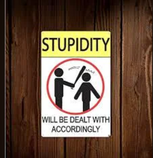 A sign on a wooden wall reads "STUPIDITY WILL BE DEALT WITH ACCORDINGLY" above an image of one figure hitting another with a stick.