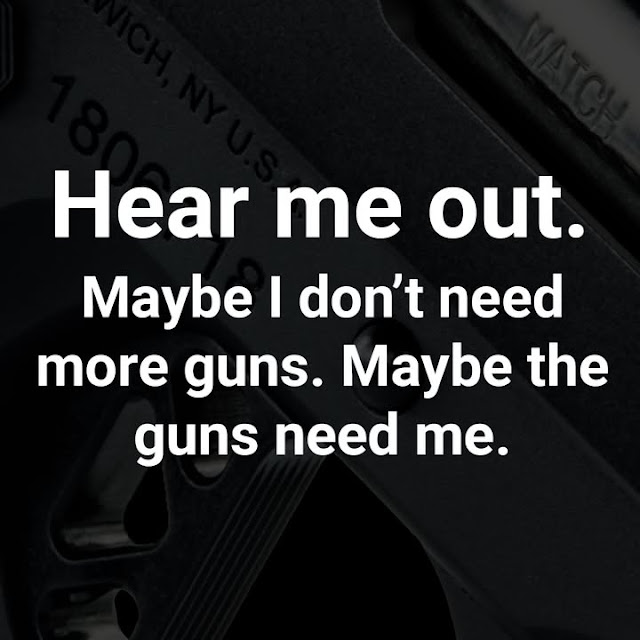 Text reads: "Hear me out. Maybe I don’t need more guns. Maybe the guns need me." Image shows part of a firearm in the background.