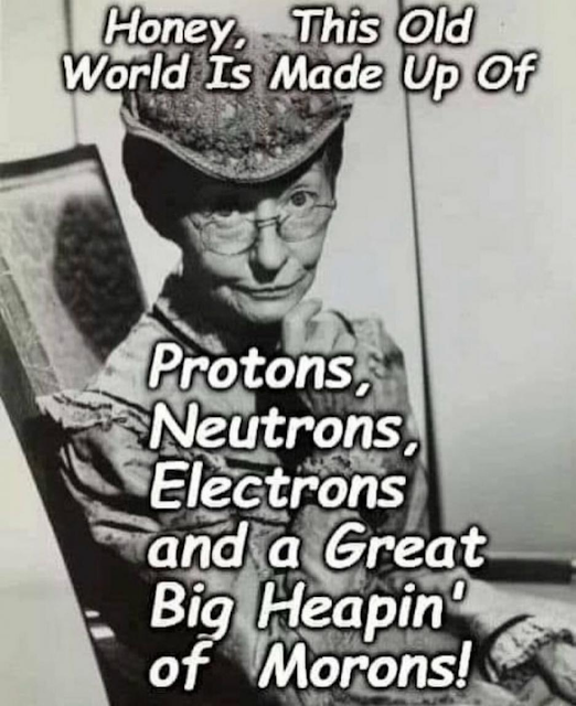 An older woman in vintage clothing sits with folded arms. Text reads: “This old world is made up of protons, neutrons, electrons, and a great big heapin’ of morons!”.