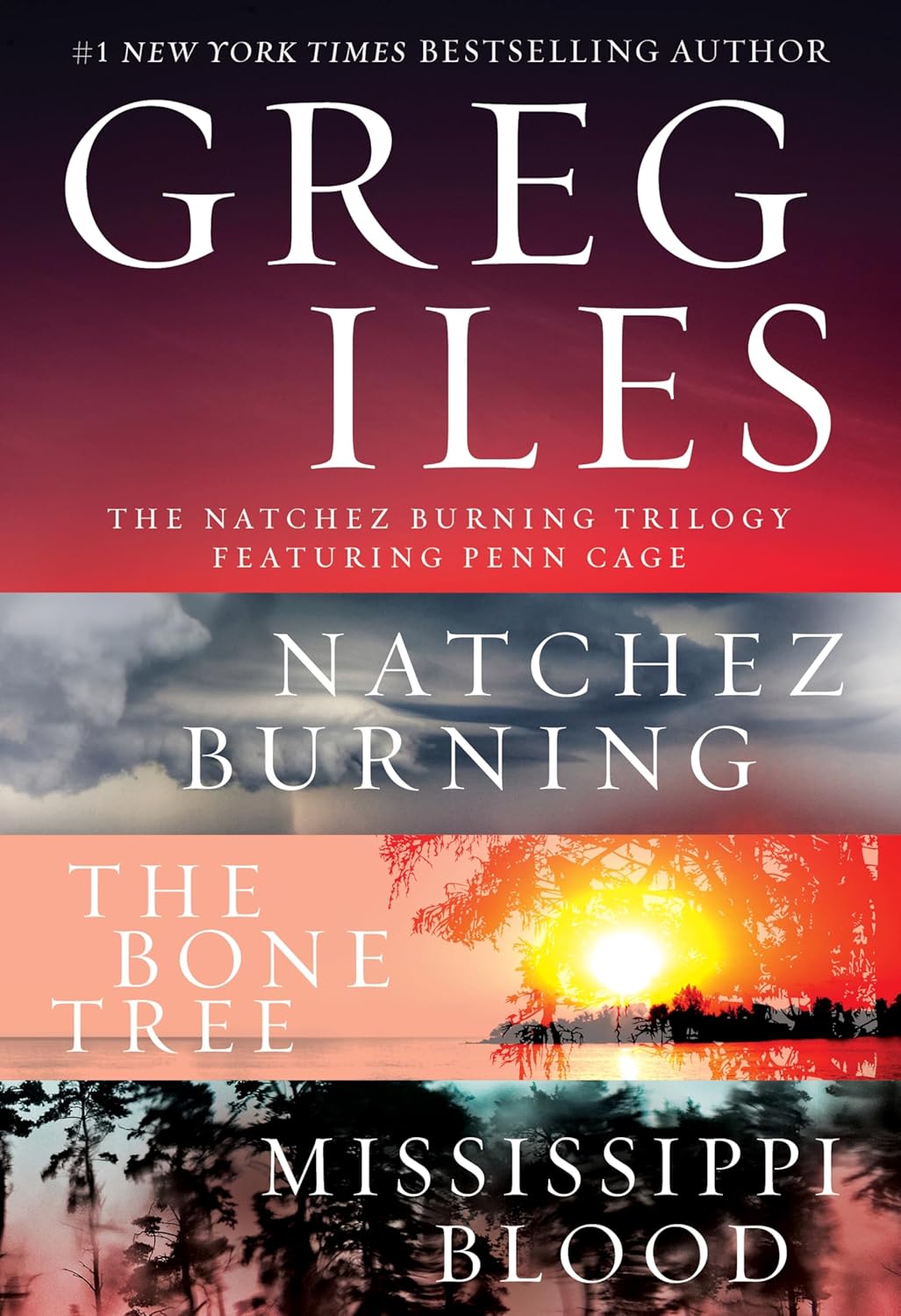 Book cover showing titles of Greg Iles' Natchez Burning trilogy: "Natchez Burning," "The Bone Tree," and "Mississippi Blood," with sunset and forest-themed backgrounds.