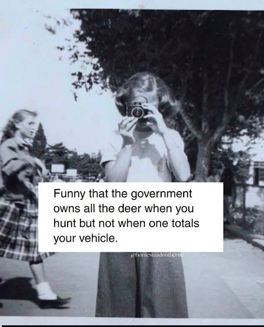 A girl takes a photo with a camera; another girl walks by. Overlaid text jokes about government deer ownership and car accidents involving deer.